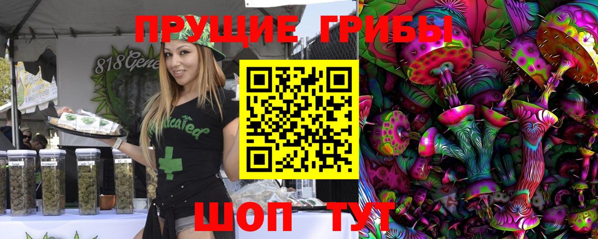 даркнет сайт  Галлюциногенные грибы Magic Shrooms  Северобайкальск  Вход с VPN  Галлюциногенные грибы мицелий 