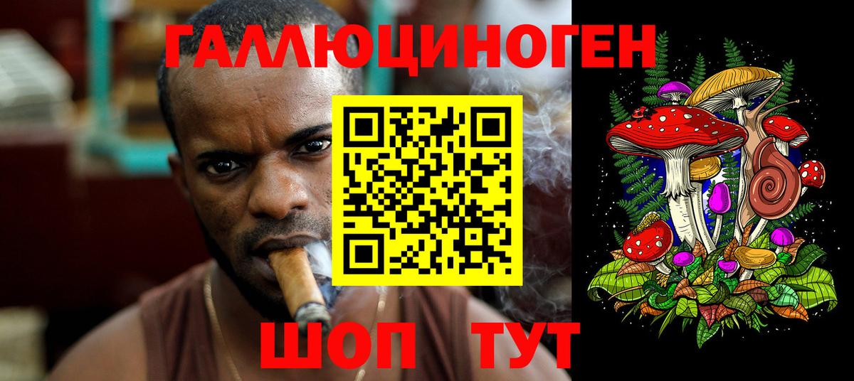Псилоцибиновые грибы прущие грибы Северобайкальск