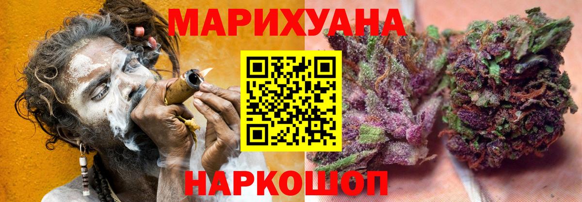 Шишки марихуана сатива Северобайкальск